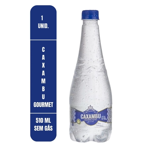 Água Mineral Gourmet Caxambu 510Ml Sem Gás